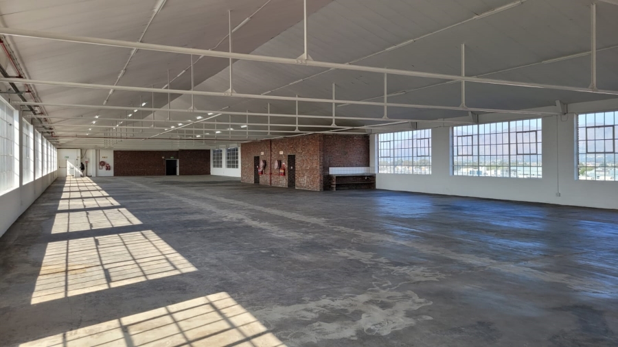 To Let commercial Property for Rent in Diep River Western Cape